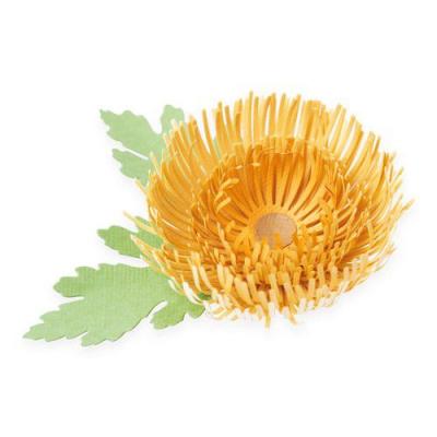 Sizzix Thinlits Die Set - Chrysanthemum