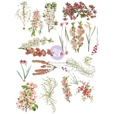 Prima Marketing Sharon Ziv Transfers - Bloom
