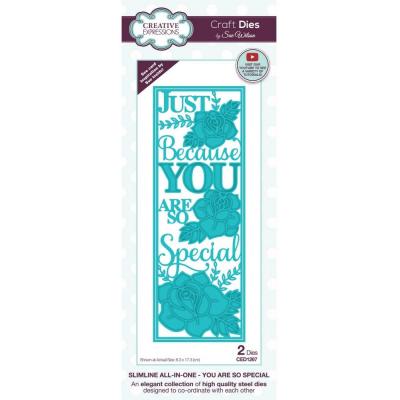 Creative Expressions Paper Cuts Dies - You Are So Special