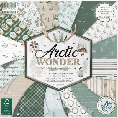First Edition Arctic Wonder Designpapier - Paper Pad