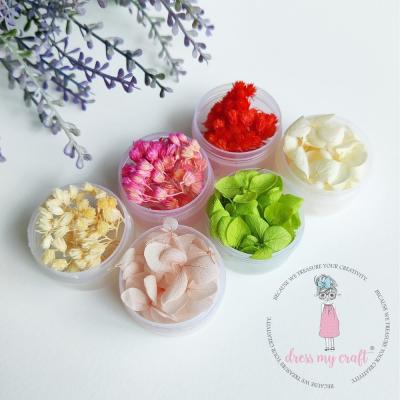 Dress My Craft Blumen - Dry Flowers Kit