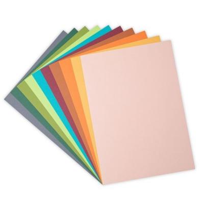 Sizzix Cardstock - Eclectic Colours