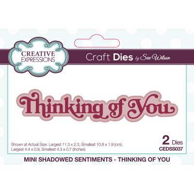 Creative Expressions Craft Die - Mini Shadowed Sentiments Thinking Of You