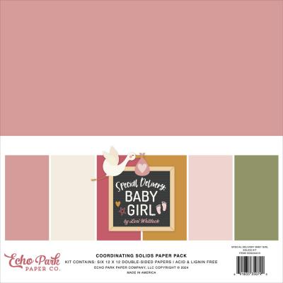 Echo Park Special Delivery: Baby Girl - Coordinating Solids