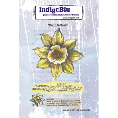 Indigo Blu Stempel - Big Daffodil