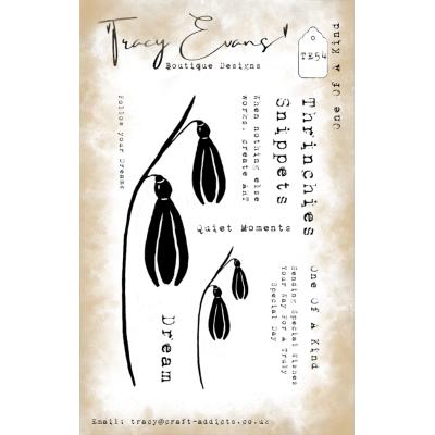 Tracy Evans Stempel - One Of A Kind