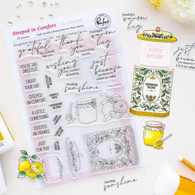 Pinkfresh Studio The Simple Things Stempel - Steeped In Comfort