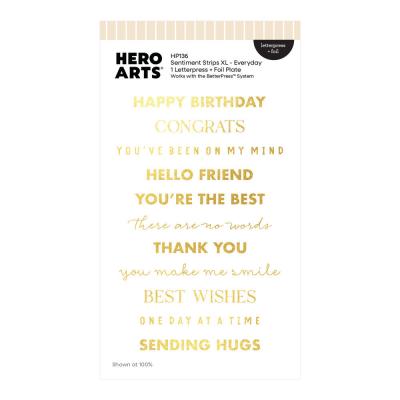 Hero Arts Say It With Style Letterpress & Foil - Sentiment Strips XL Everyday